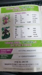 드림 코코 코드 | 포켓몬스터 루리웹 드림 코코 코드 | 포켓몬스터 루리웹 | 루리웹