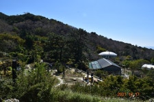 진해 보타닉 뮤지엄 다녀왔습니다. | 국내여행 이야기 게시판 진해 보타닉 뮤지엄 다녀왔습니다. | 국내여행 이야기 게시판 | 루리웹