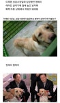 행복이 표정 ㅜㅜ