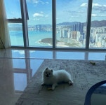 부산 해운대 아파트 풍경jpg