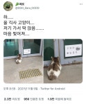 기숙사 출입금지 당한 고양이