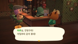 일주일동안 해피홈feat본섬 이것저것