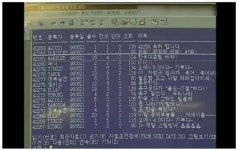 옛날 인터넷은 지금보다 점잖고 클린했음