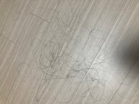 니들은 머리같은 거 기르지 마라.. | 유머 게시판 니들은 머리같은 거 기르지 마라.. | 유머 게시판 | 루리웹