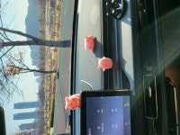 패밀리카 바꿧습니다