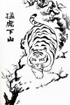 약후방스압 2021년 그림 때려박기