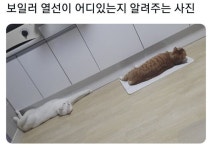 보일러 열선 위치 확인 방법