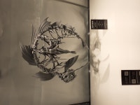 아미아미 하비 캠프 사진1 완전스압주의