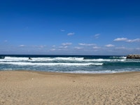 카우보이 그릴 다녀왔습니다~ | 음식 갤러리 카우보이 그릴 다녀왔습니다~ | 음식 갤러리 | 루리웹