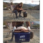 오리 항아리구이 대참사