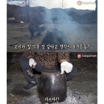 오리 항아리구이 대참사