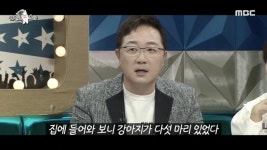 엄근진했던 동물농장이 발랄하게 바뀐 이유