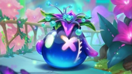 TFT 챔피언십 국가대표 공개 스크림 개최 안내