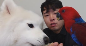 두리안을 동물들과 같이 시식한 유튜버jpg