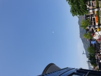 비닐 날라댕기는거 신기하당 | 유머 게시판 비닐 날라댕기는거 신기하당 | 유머 게시판 | 루리웹