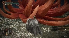 망할레니아 그리고 설원과 묘지