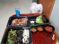 오늘의 야식 | 정치유머 게시판 오늘의 야식 | 정치유머 게시판 | 루리웹