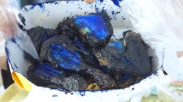 노랑치킨 빨강치킨은 많이들 봤지