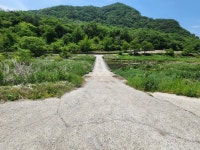 스압 충남 논산시 벌곡면 검천리의 풍경jpg