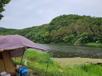 오늘 천변따라서 자전거 탔는데 사람들 물에 들어가서 많이 놀더라 | 유머 게시판 오늘 천변따라서 자전거 탔는데 사람들 물에 들어가서 많이... 
