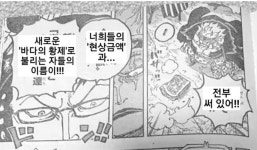 원피스스포새로운 사황 후보들