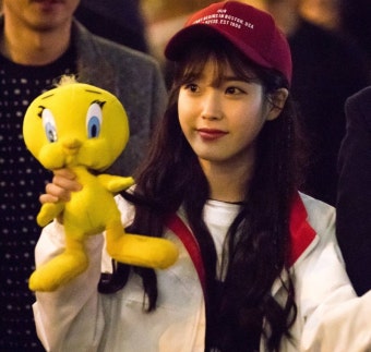 트위티인형과 아이유 | 아이유 트위티인형과 아이유 | 아이유 | 루리웹