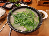 남친이랑 부산 여행 가서 쳐먹은거jpg