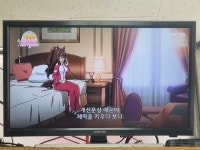 말딸 하네 애니플러스