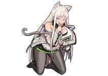 천아 냥이