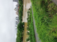 산책로였던 곳 시즌2 | 오늘의 유게 산책로였던 곳 시즌2 | 오늘의 유게 | 루리웹