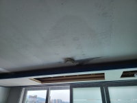 시발 비온거때문에 내가 작업한거 다 조졌네 | 유머 게시판 시발 비온거때문에 내가 작업한거 다 조졌네 | 유머 게시판 | 루리웹