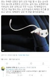 포켓몬 뮤츠의 역습 뒷 설정