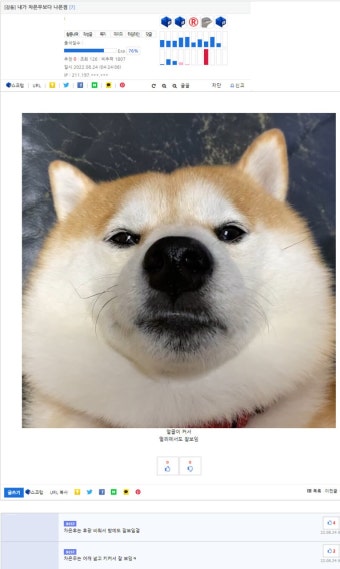 차은우보다 나은점이 있는 유게이.jpg | 유머 게시판 차은우보다 나은점이 있는 유게이.jpg | 유머 게시판 | 루리웹