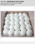술빵 먹으면 안되는 이유jpg