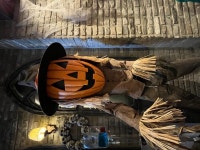 가족 외식-파스타&스테이크(마녀주방 in 신촌) | 음식 갤러리 가족 외식-파스타&스테이크(마녀주방 in 신촌) | 음식 갤러리 | 루리웹