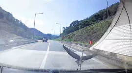 부산하동구례순천 여행기