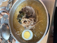 가족외식-닭갈비와 막국수 | 음식 갤러리 가족외식-닭갈비와 막국수 | 음식 갤러리 | 루리웹