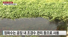 마실 수 있는 돼지 분뇨 | 유머 게시판 마실 수 있는 돼지 분뇨 | 유머 게시판 | 루리웹