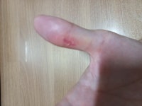 퍼드외 저 당분간 안 오면 이것 하고 있는 걸로 알아주심 되실 듯