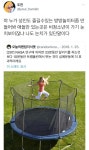 어른도 놀수 있는 방방 놀이방이 필요하다 우우 | (백업)유머 게시판(2021-) 어른도 놀수 있는 방방 놀이방이 필요하다 우우 | (백업)유머... 