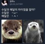 사람들이 잘 모르는 수달과 해달 구분법