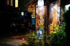 종로 쪽 출사라고 쓰고 방황기