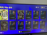 델피에로 좋은것 맞죠