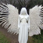 AI보고 천사 그만 그려달라 해야겠다