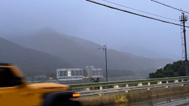 스압 춘천 어쩌다 가게 된 핫도그 여행