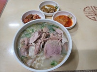 탐라네바퀴투어 | 전국처묵투어탐라