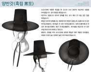 조선 문화중 갓은 간지 아님