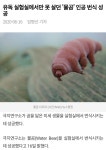 지구 최강의 생명체 물곰 특