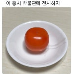 이 홍시 박물관에 전시합시다