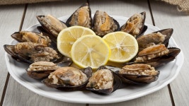 터키 요리가 존맛인 이유